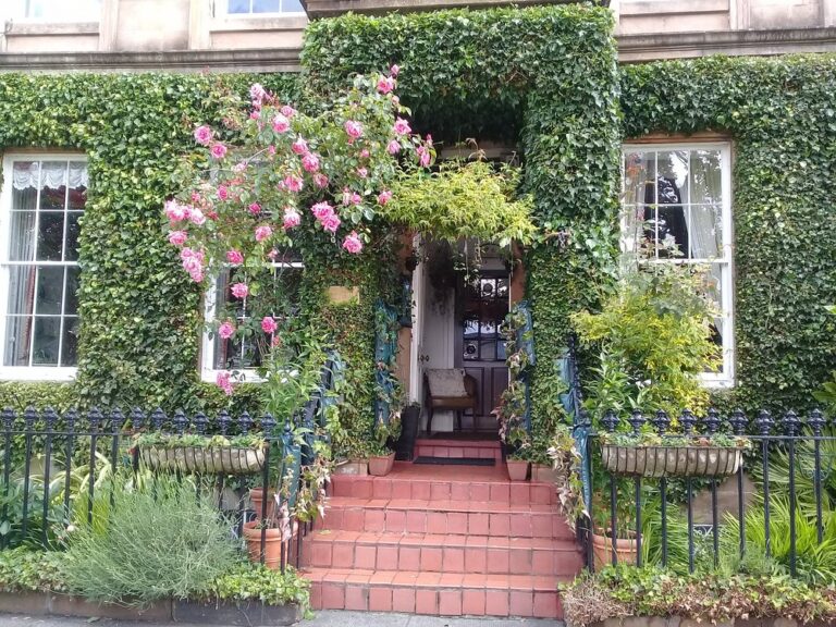 the flower house 768x576